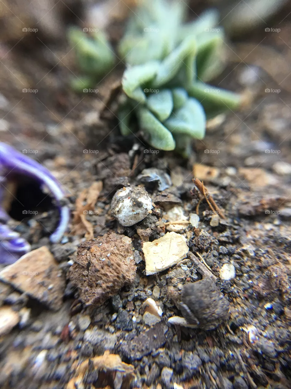 Sand 