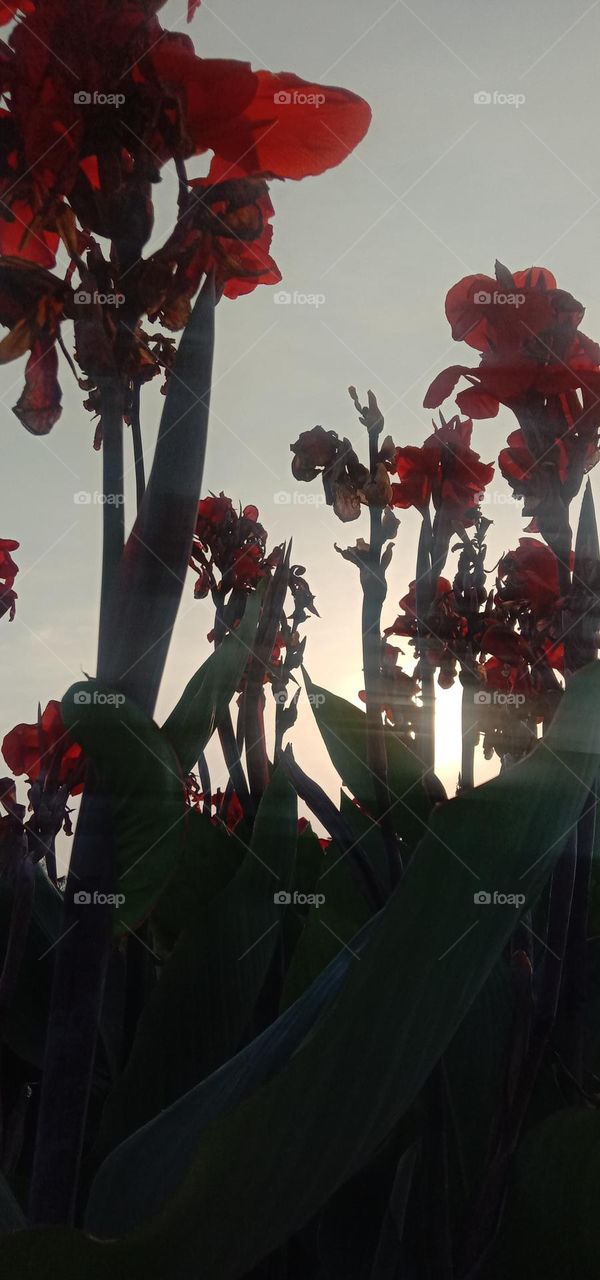 evening vibes ❤️✨