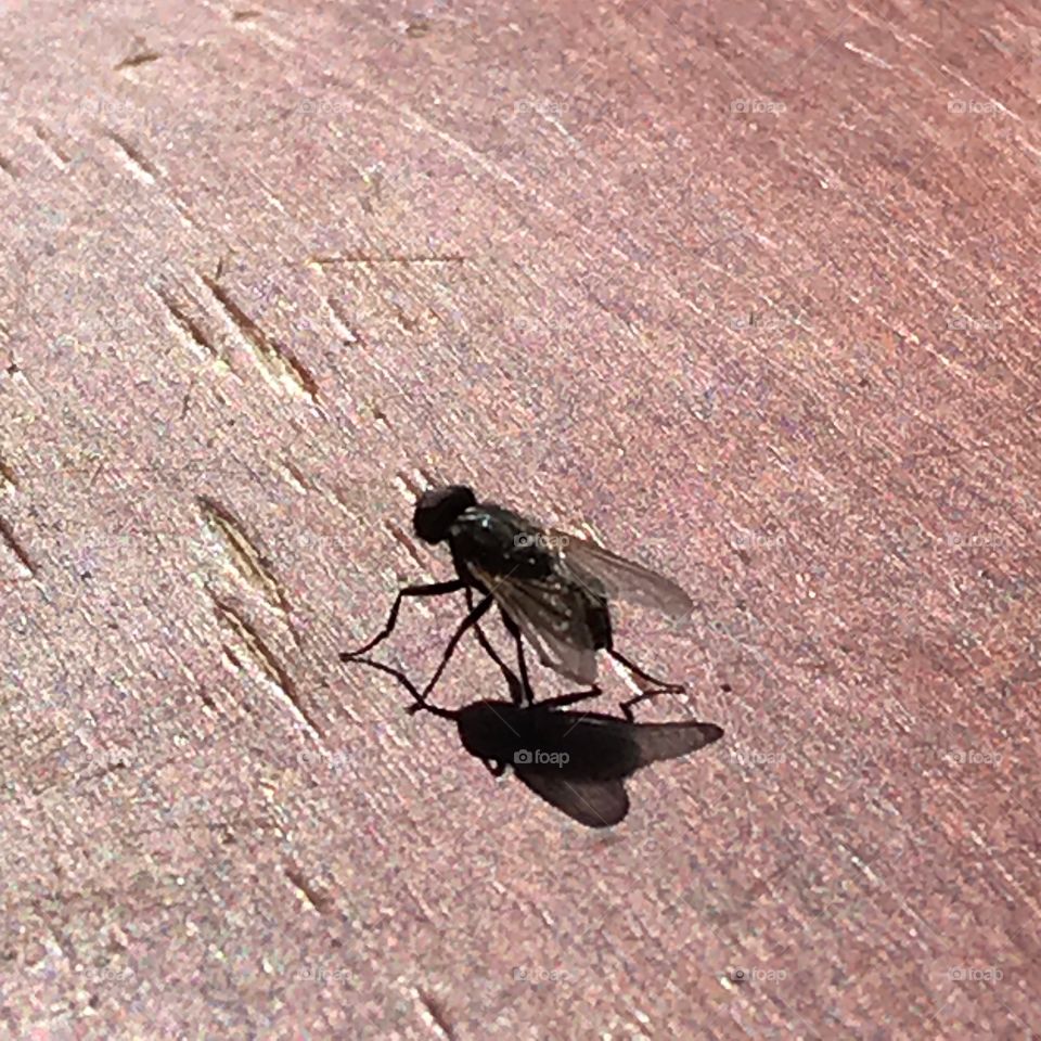 Oh to be a fly on your wall.