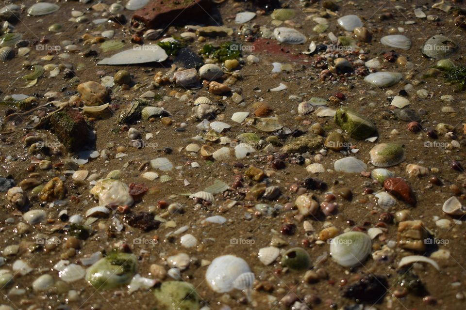 To the beach's banter