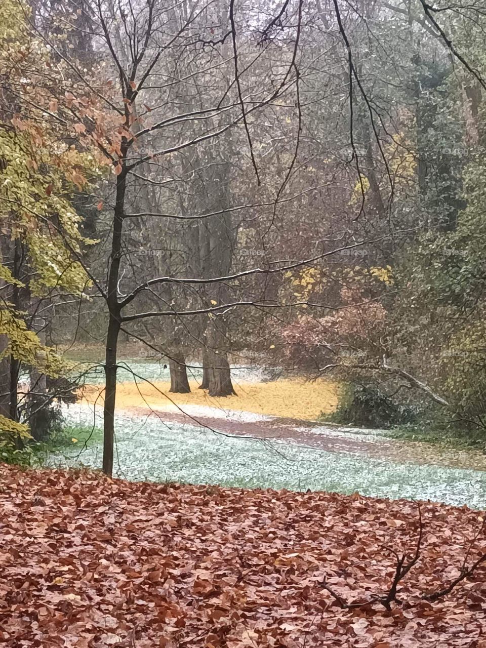 Parc de Mariemont La louviere