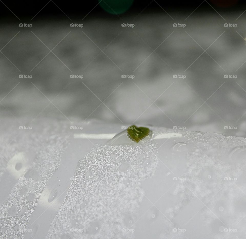 Leaf inside a drop of water