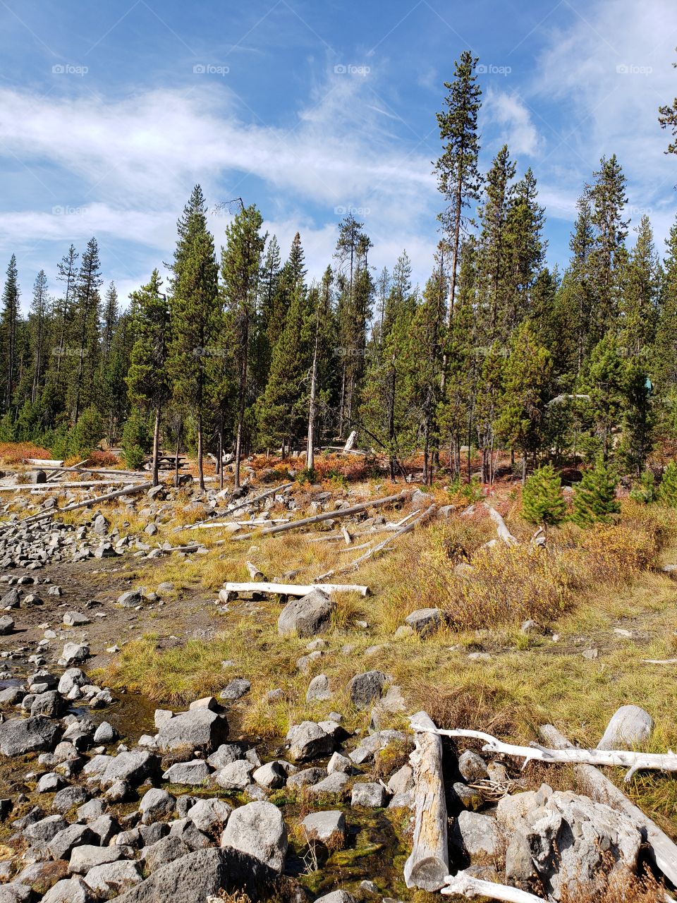 Brilliant fall colors of a landscape on the shores of Elk Lake in Oregon’s Cascade Mountains