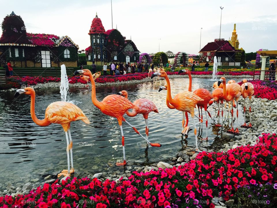 Red flamingos in flower garden 