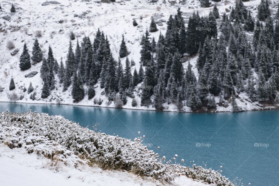 I forgot cold for a while... Snow mountain , Pine forest,  Water stream Beautiful blue lake at big Almaty lake in Kazakhstan