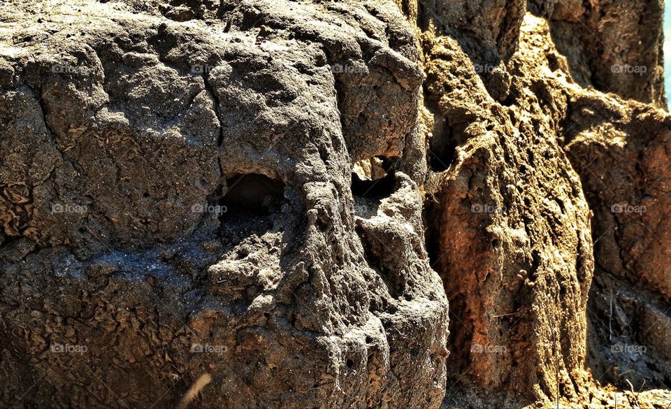 Cliff face cave