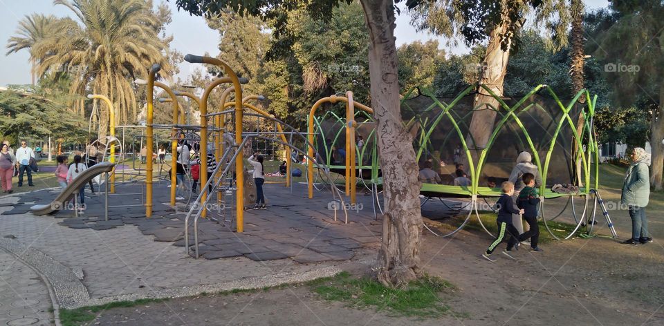 صور منطقة شجرية خيالية تستخدم للتصوير كخلفيات للافراح و مزار راح لمحبي التامل و مشاهدة الجمال الشجري والطبيعة
  Pictures of a fictional tree area used for photography as wedding backgrounds and a shrine for lovers of contemplation and watching tree b