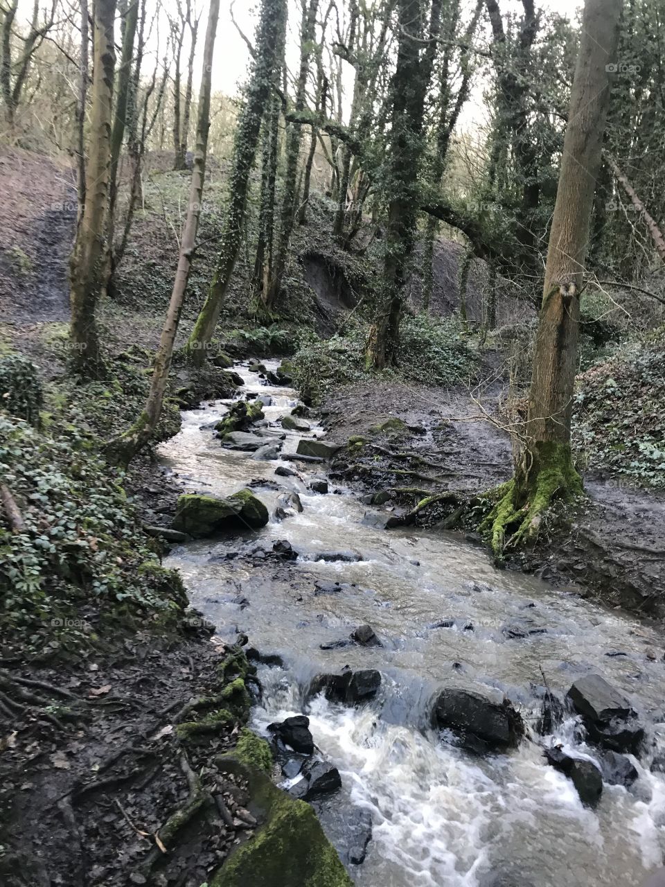 Rocky stream