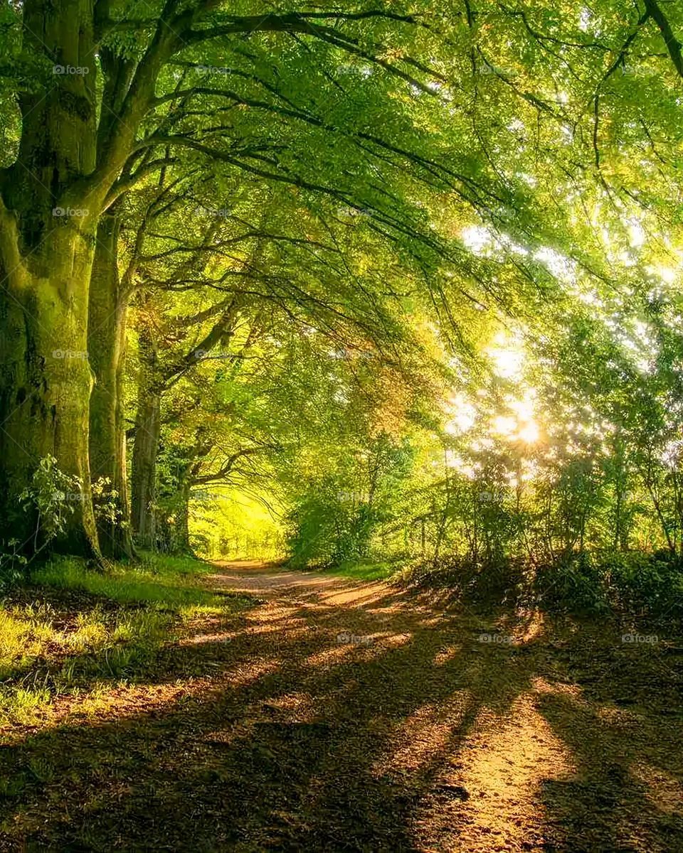 Glory be to God, the magnificent and picturesque view and the natural green trees are a view that is nothing more wonderful than it