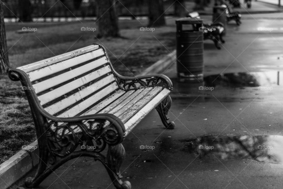 Bench in the park