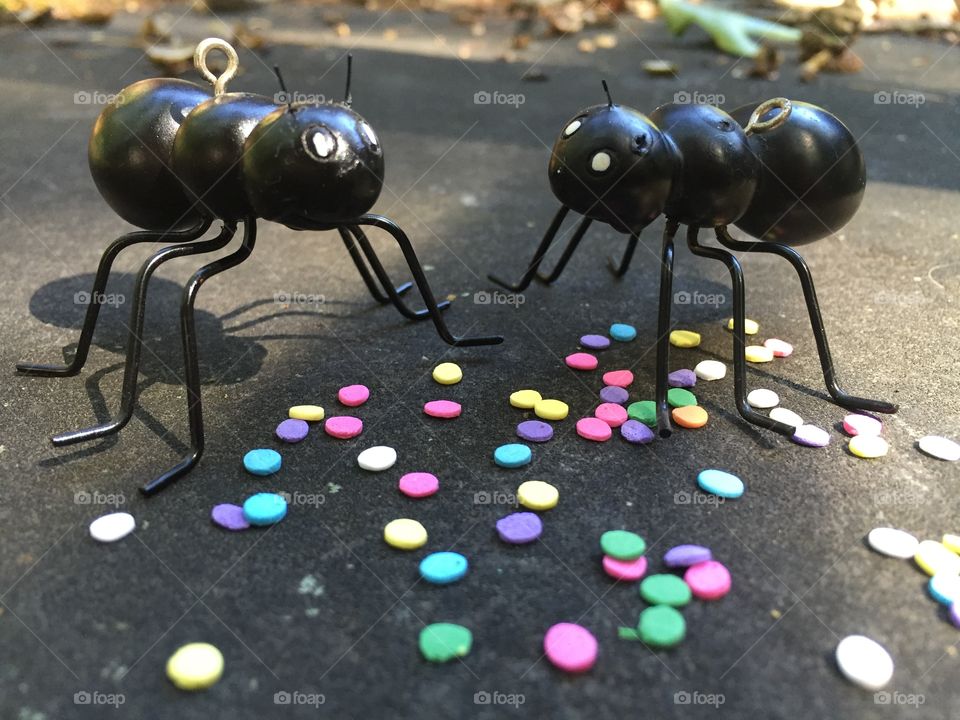 Picnic ants eating candy confetti