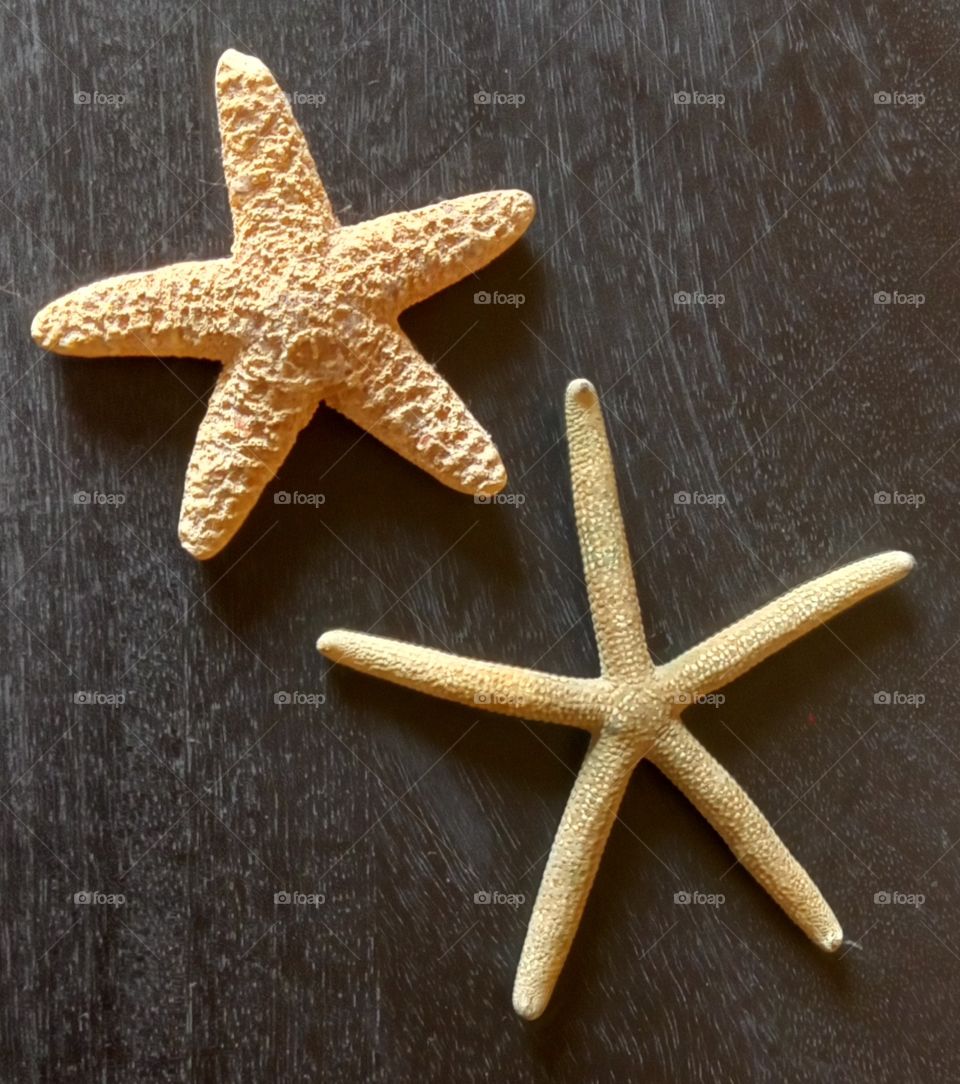 star fish