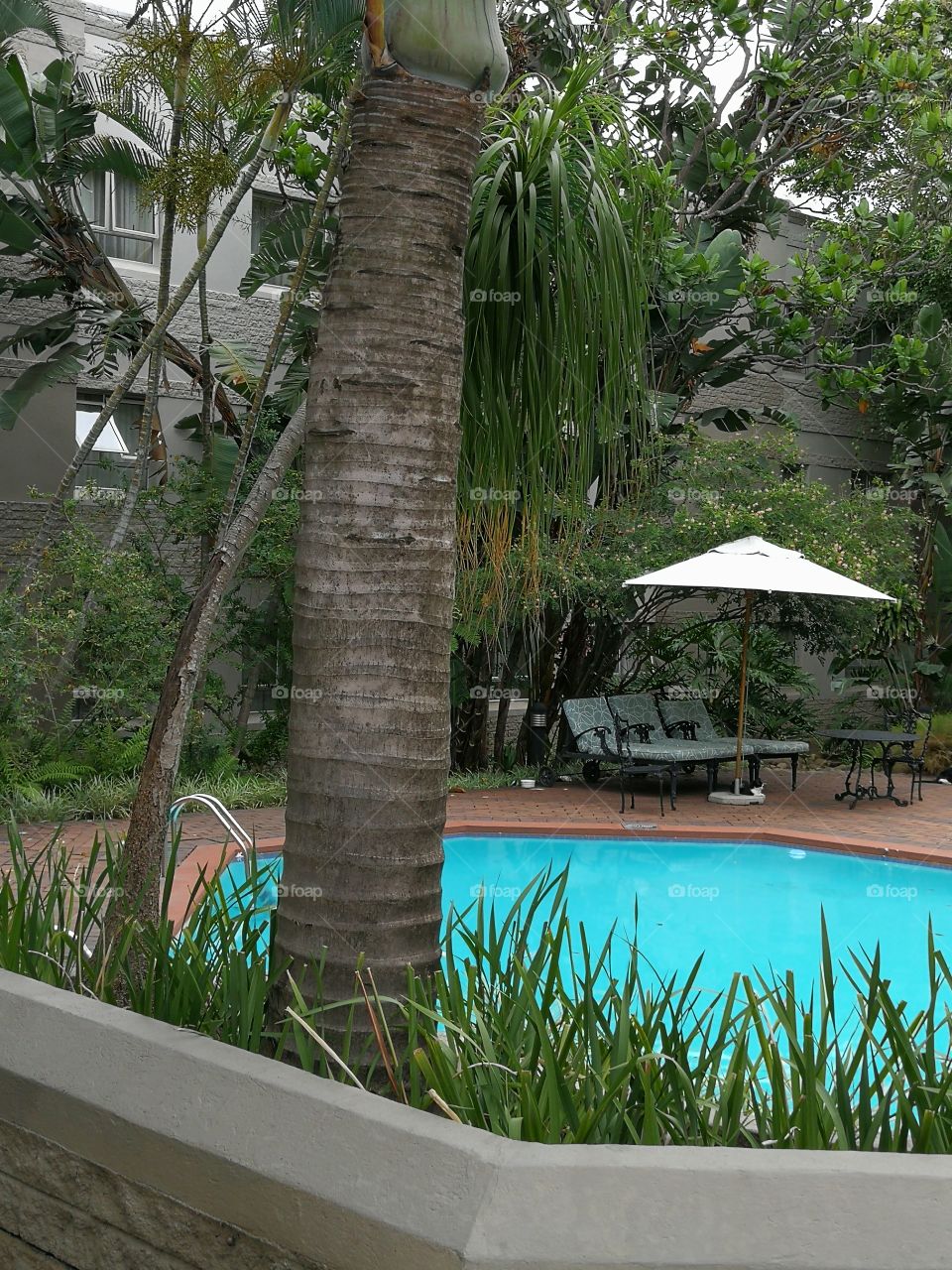 The Pool, The Bush And A Great Vacation