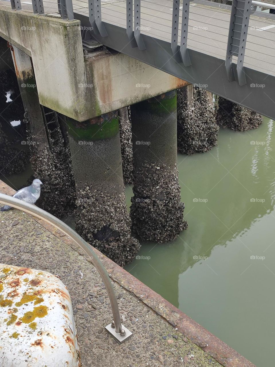 A romantic stay in Blankenberg