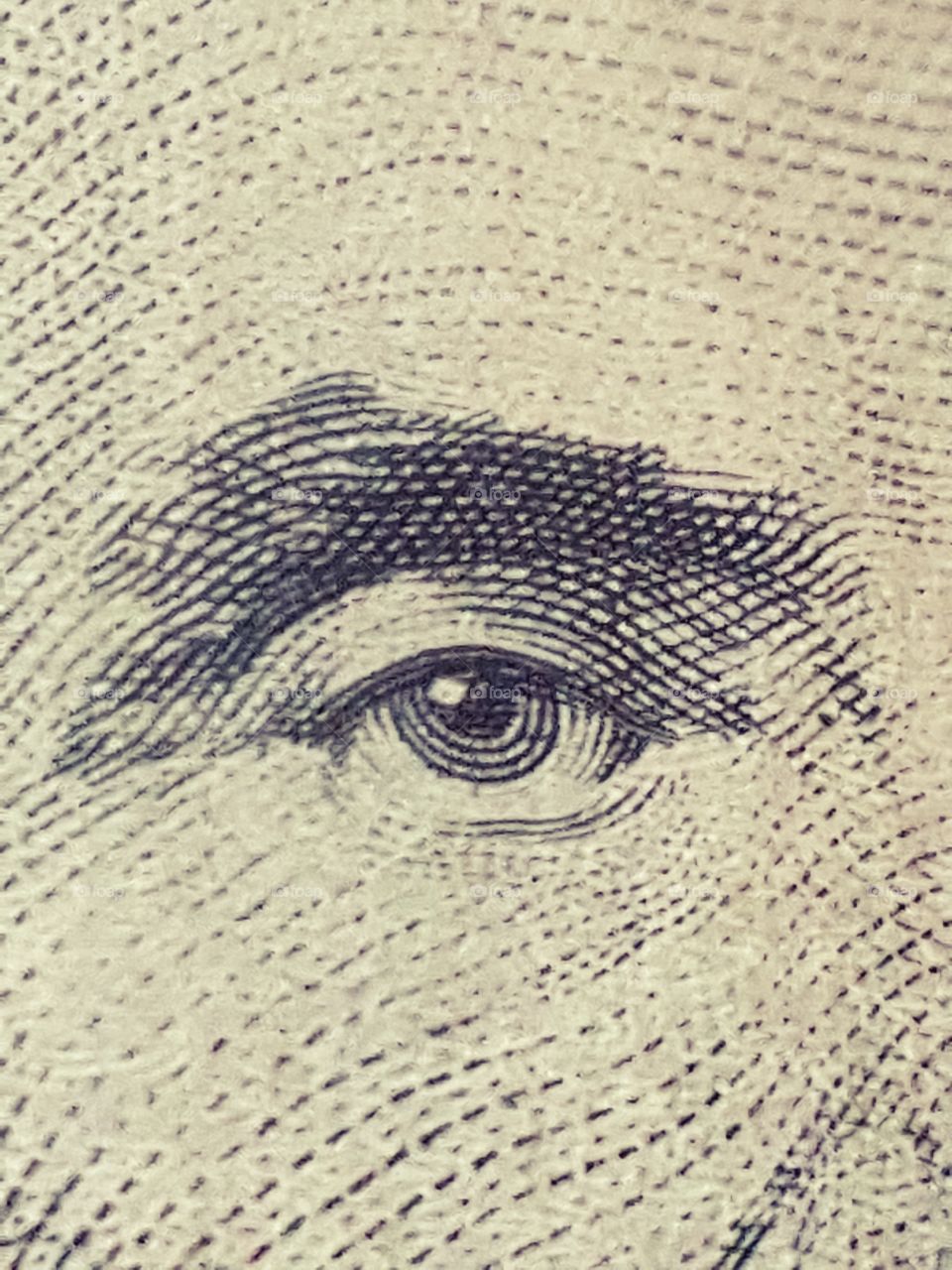 Lincoln Eye on a $5 bill