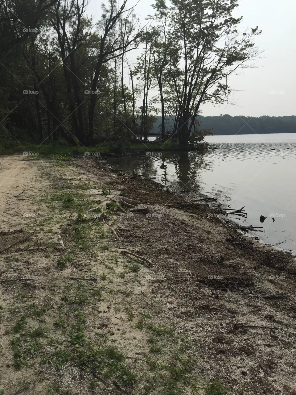 The lake