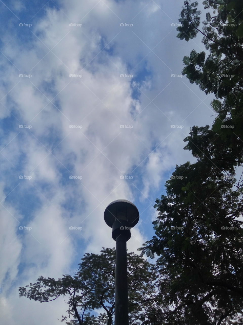 blue sky with cloud, lamppost and trees.