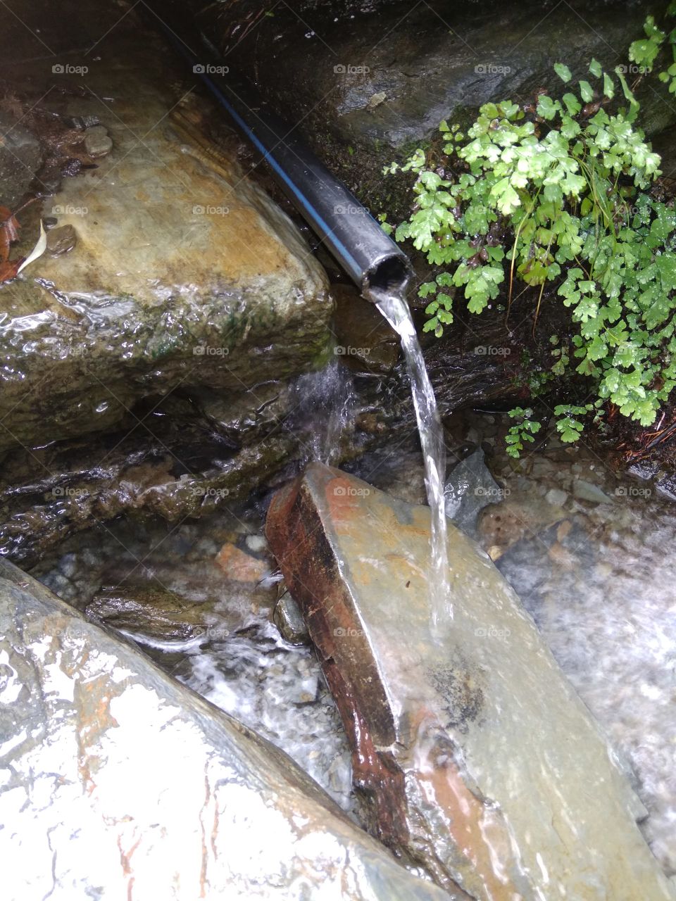 Natural water is better for health,in hilli area's so they live long