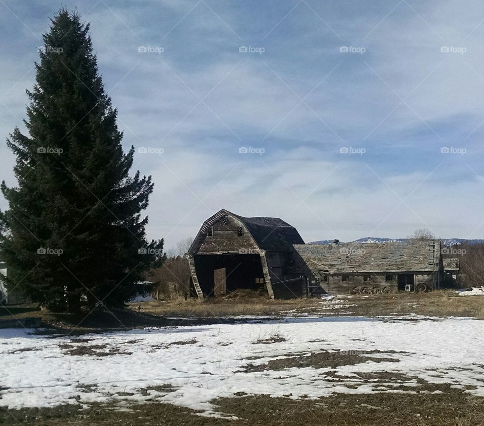 Old Barn