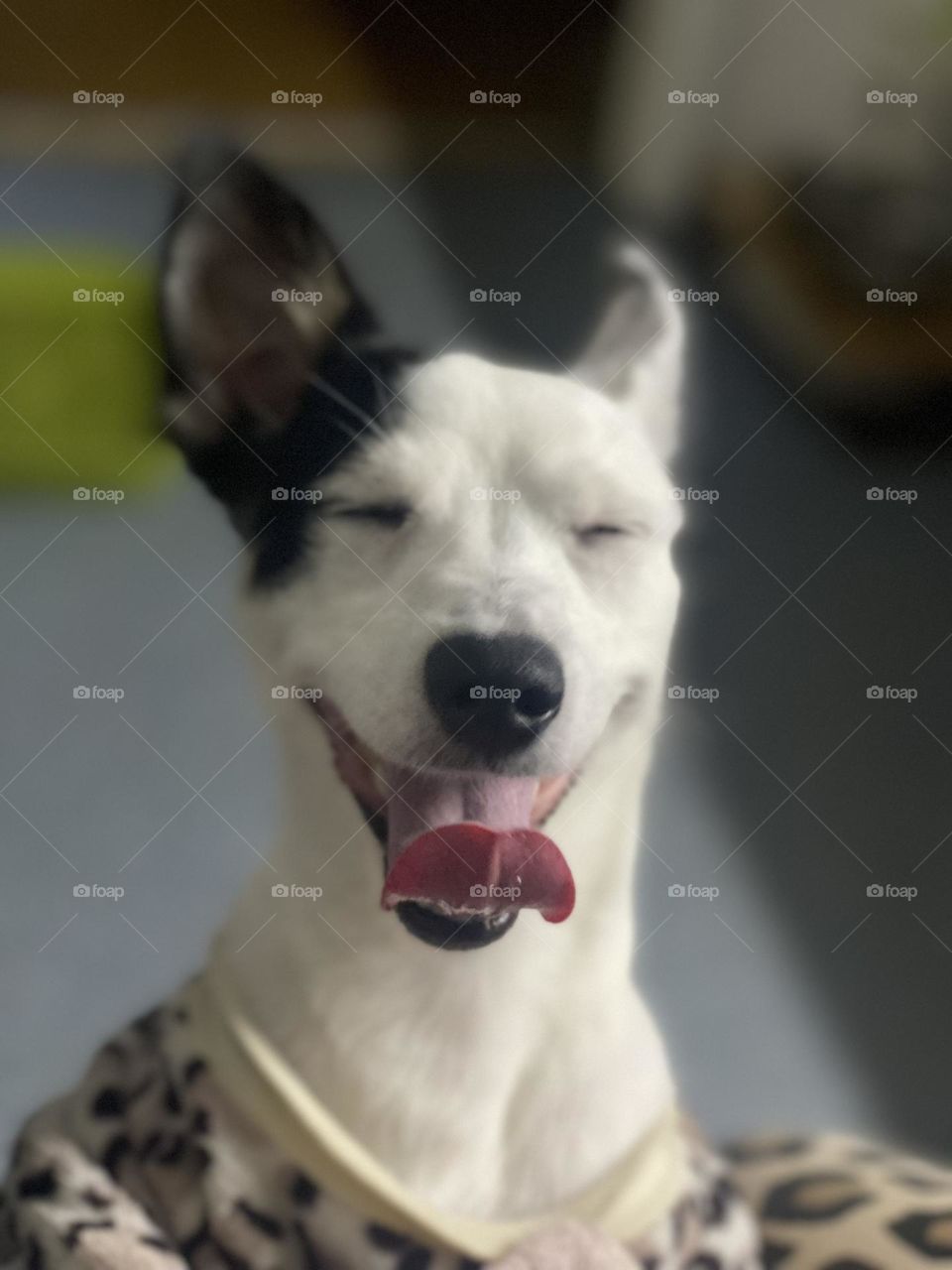 the main thing under any circumstances is to preserve your values