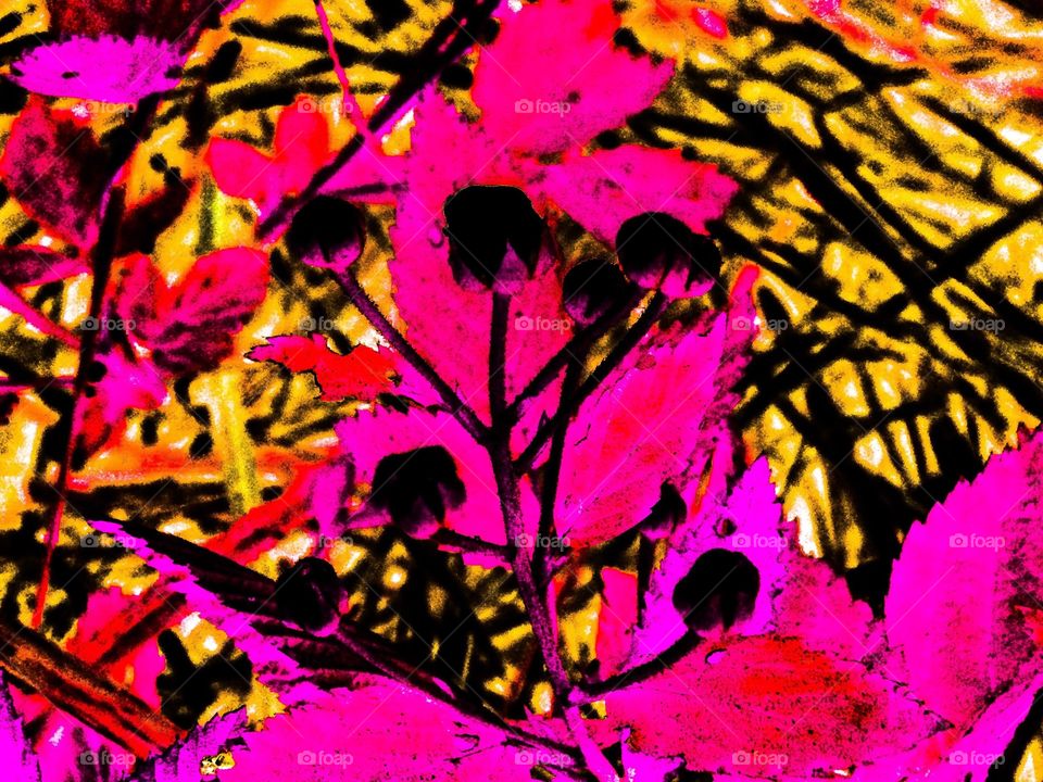 abstract plant