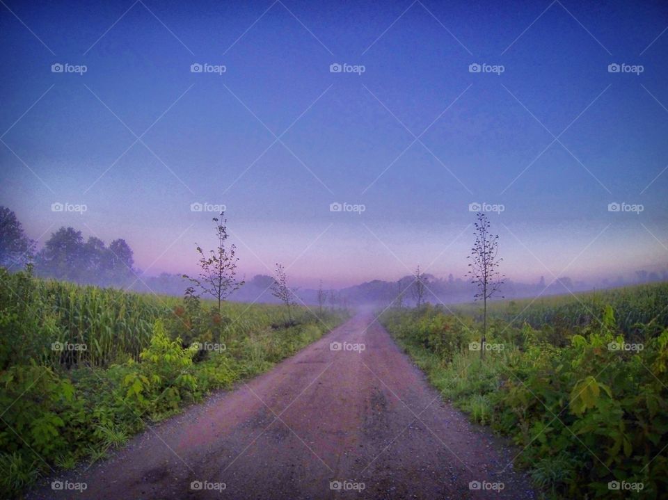 When the light wins again 