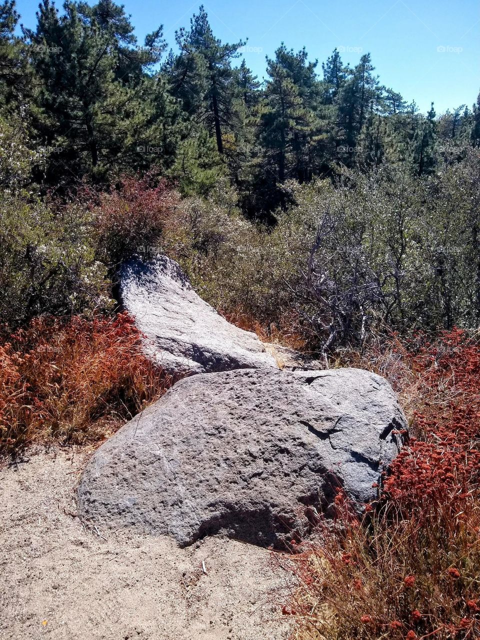 Granite boulders and forested slopes in the Cuyamaca Rancho State Park, San Diego County, California.