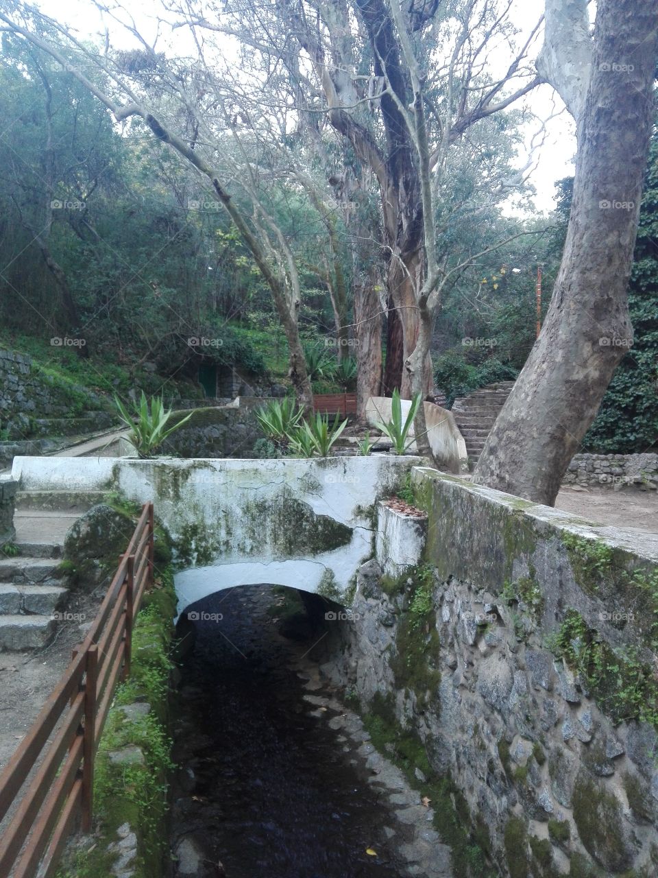 park trees bridge ...