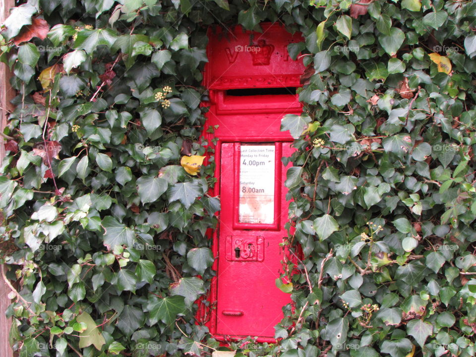 This post box is in danger of being engulfed by the surrounding plants. Hate to think of all the bugs mixing with the post!