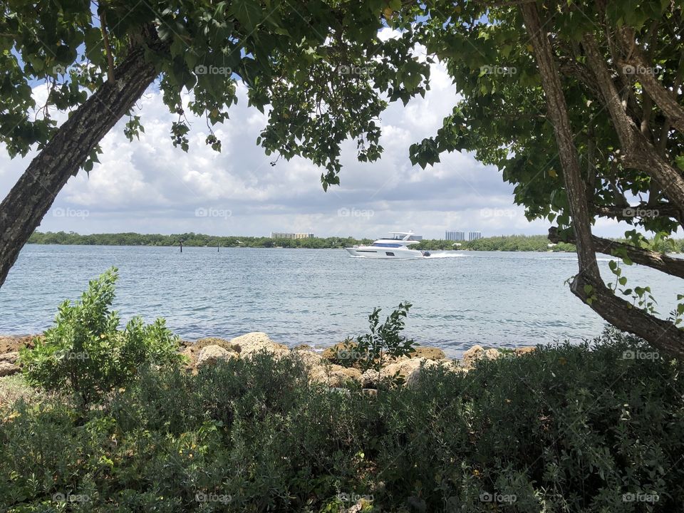 Spoted a yatch navigating threw the channels of Ft. lauderdale on a cloudy summer day in between the the plants 
