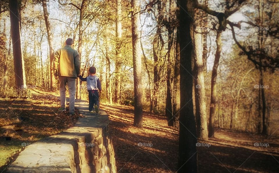 Small boy and man holding hands walking on a stone wall in the woods in fall