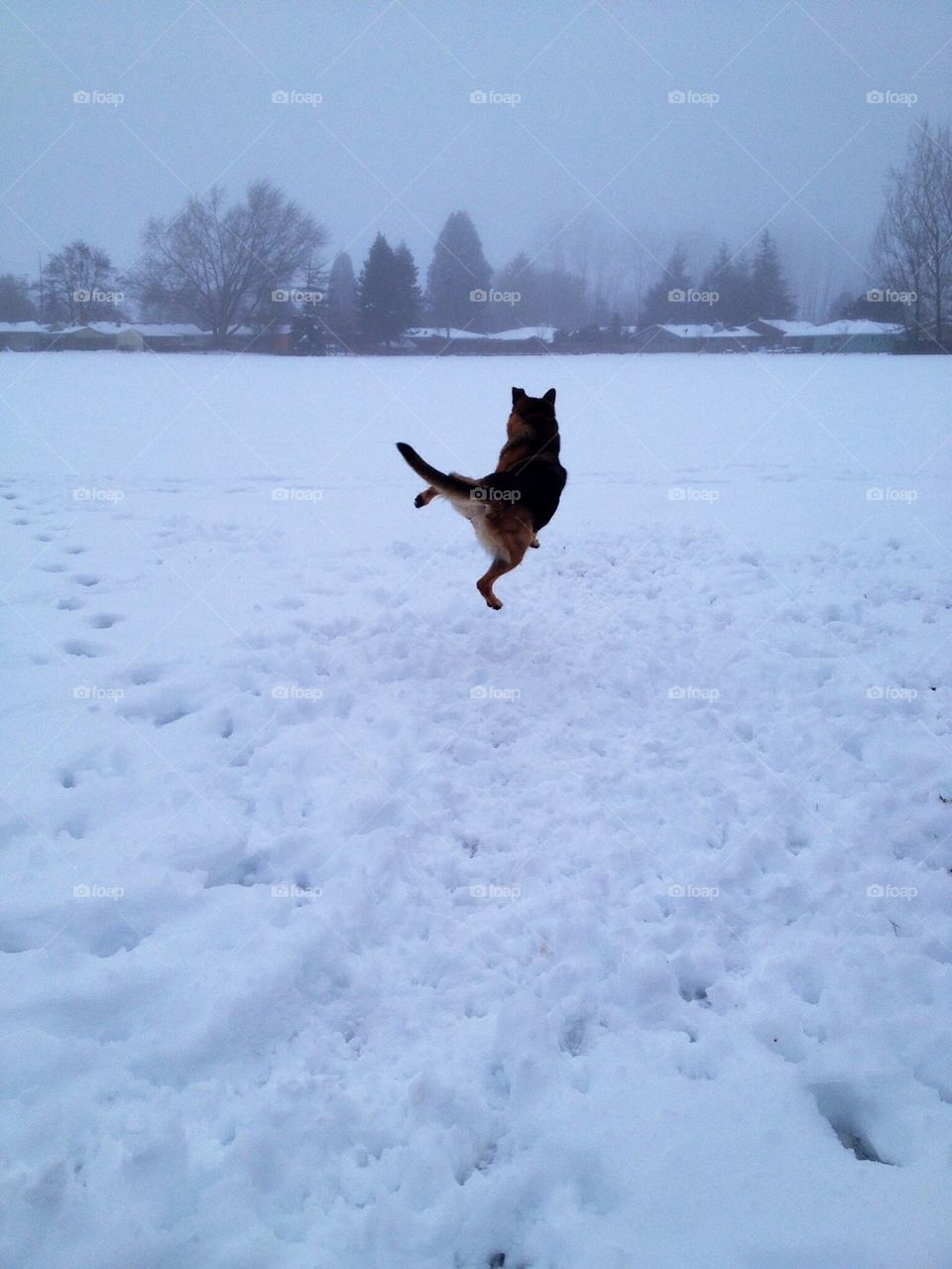 Cabin fever ends!!!!