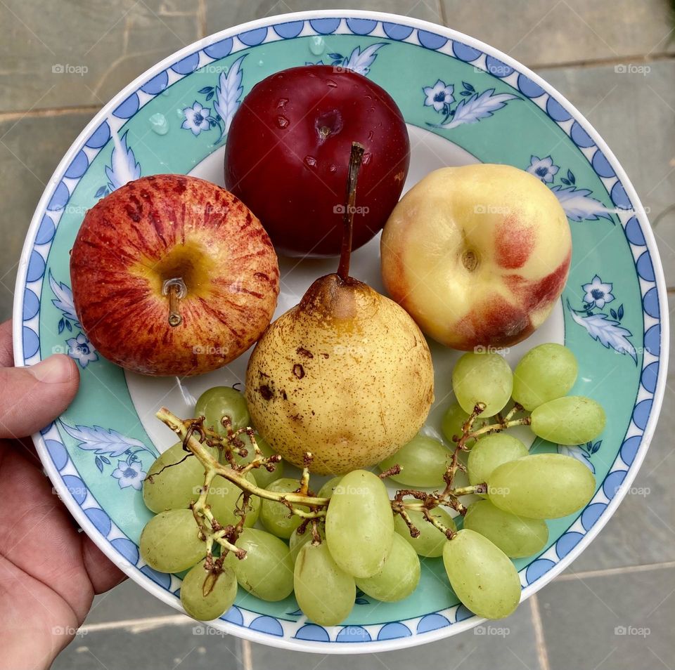 Hora saudável: ameixa, maçã, pêssego, pêra e uva!Quer jeito melhor de convencer as crianças a trocarem o chocolate por frutas?