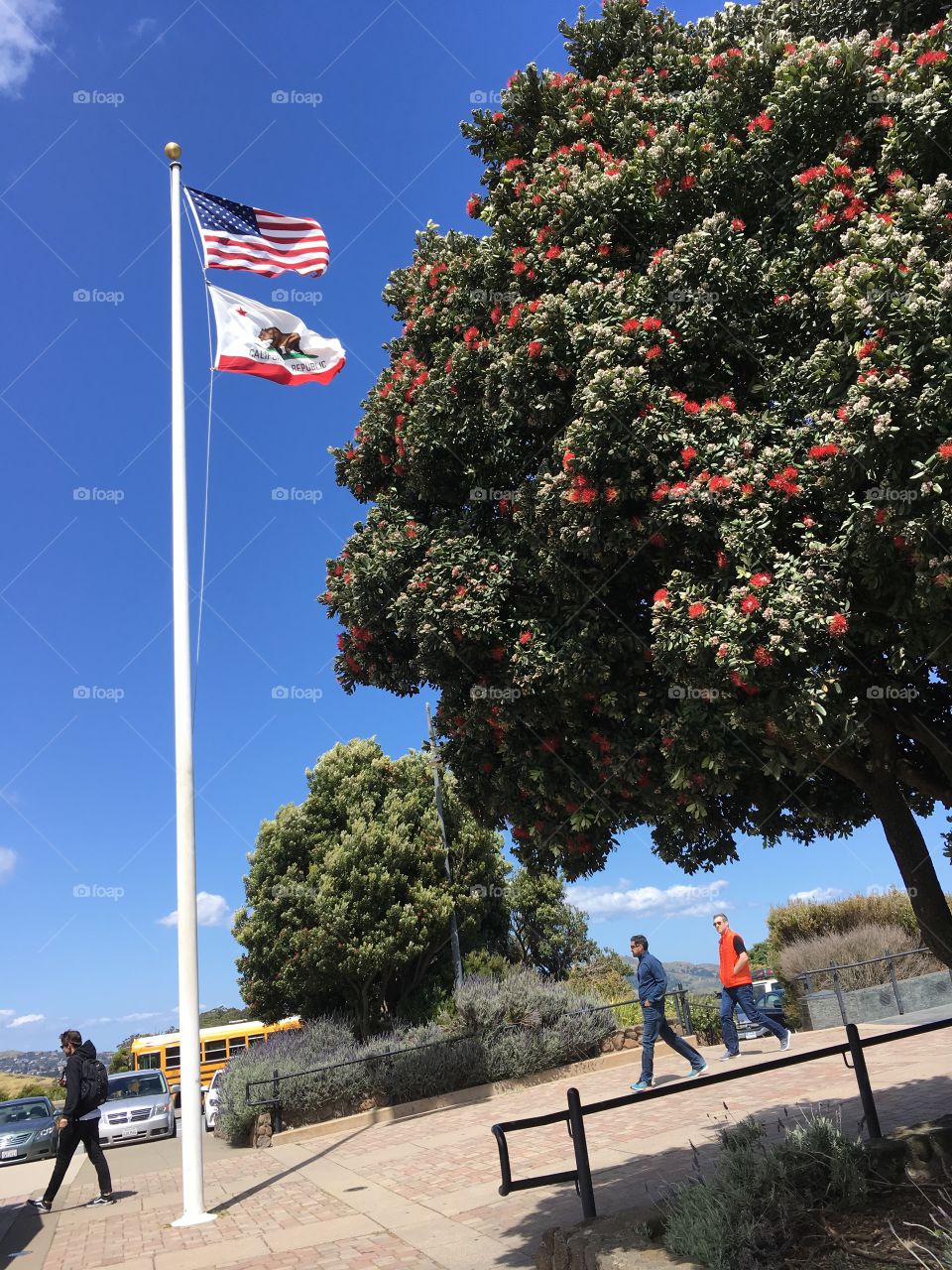 California and American flags at Golden Gate bridge