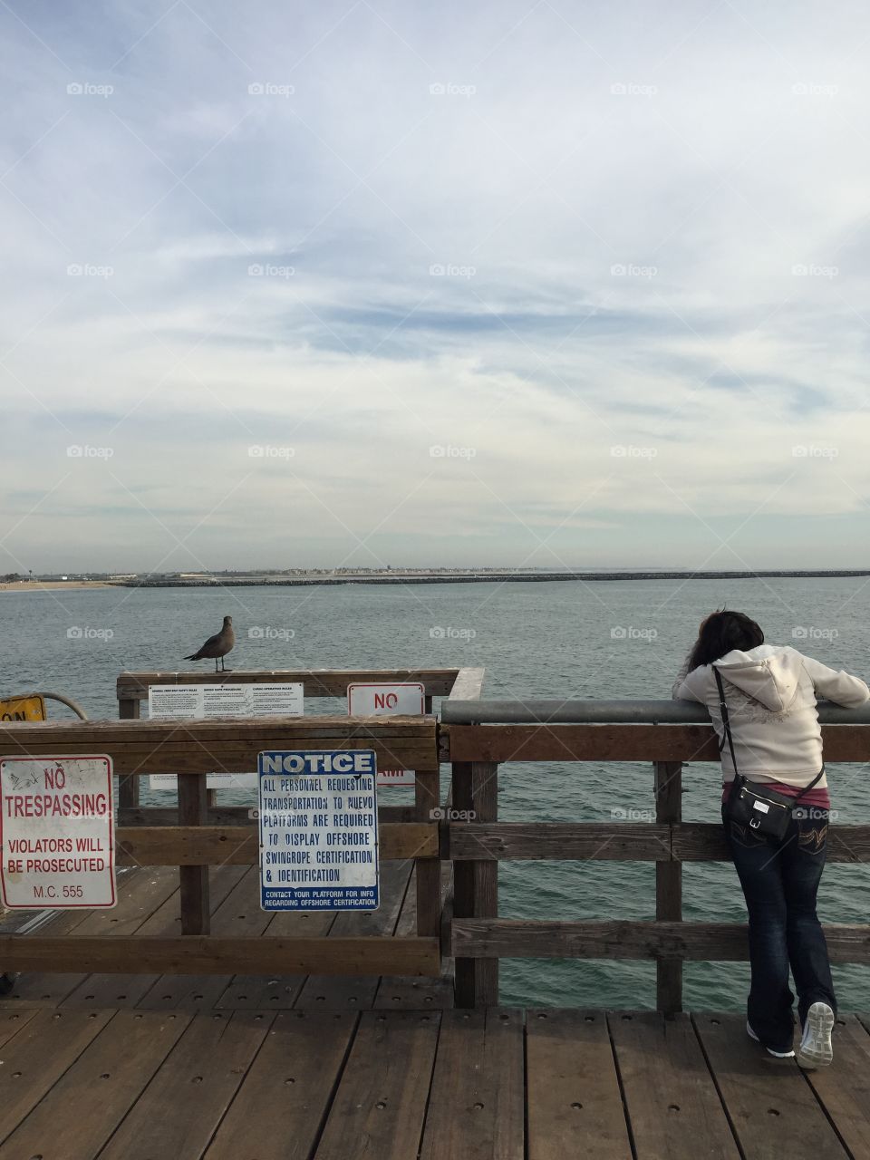 Gal and bird on a pier