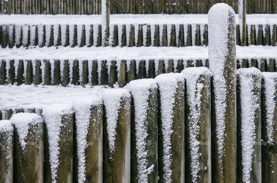 Snow covered fence posts
