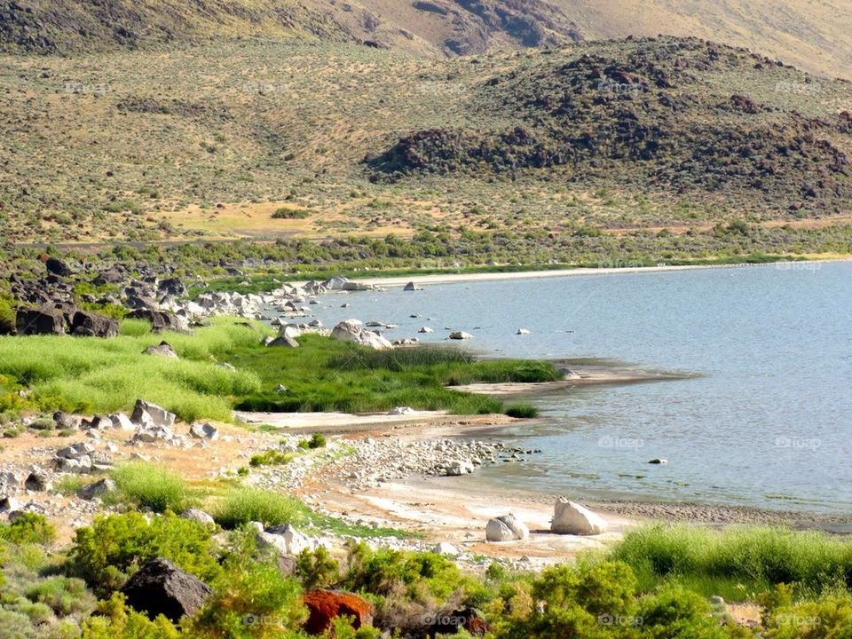 Alkali lakes in oregon