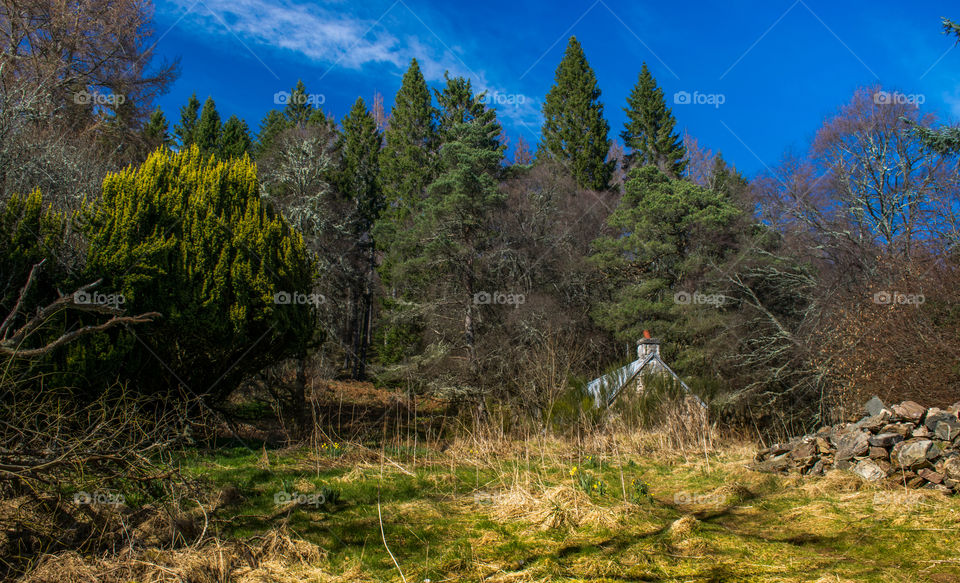 The hidden Bothy