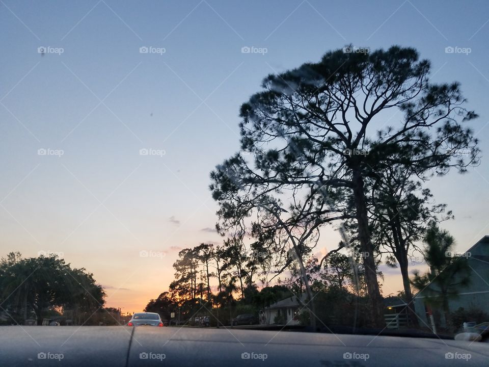 something about the Florida sky.