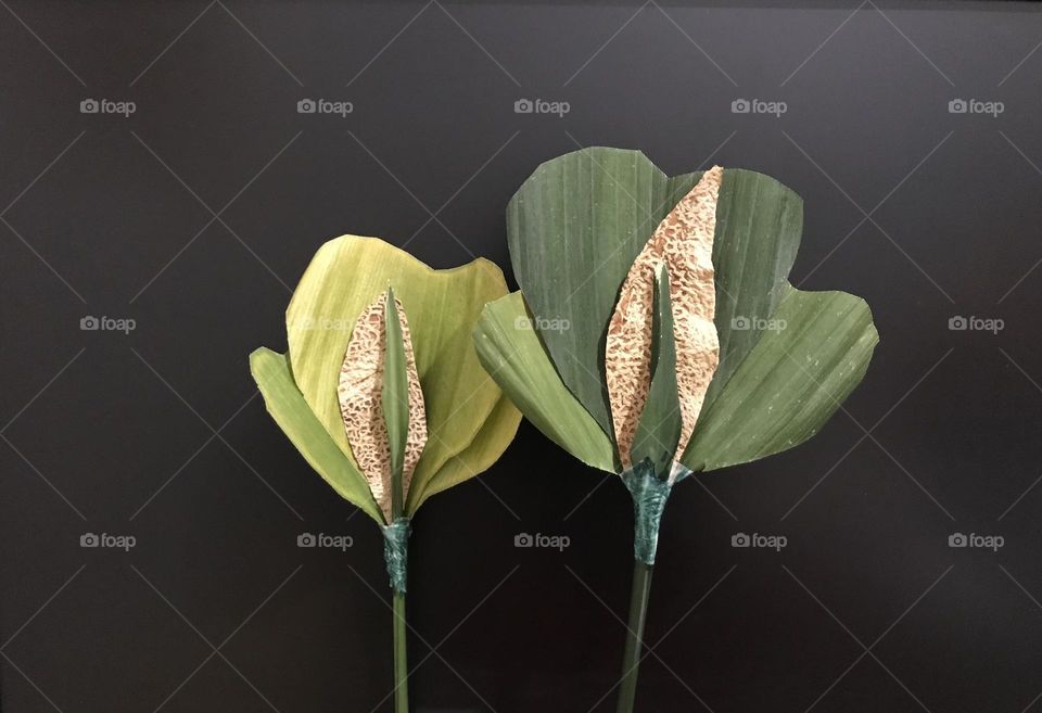 There is no waste in this world. Look around yourself! Making a craft is fun. My craft 😊