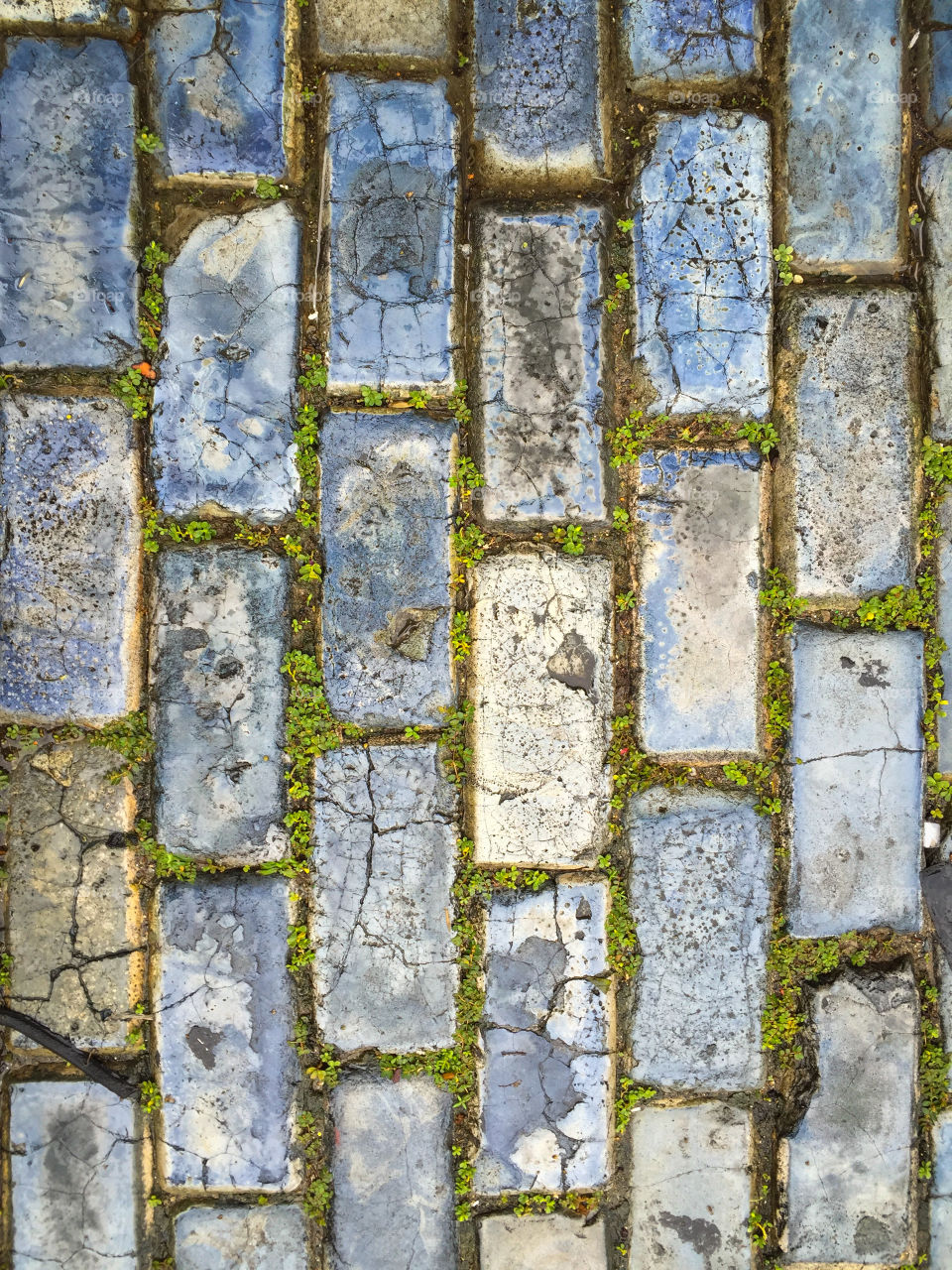 High angle view of cobblestones