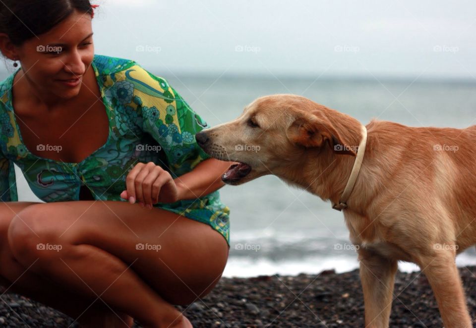 Beach, Water, Dog, One, Sea