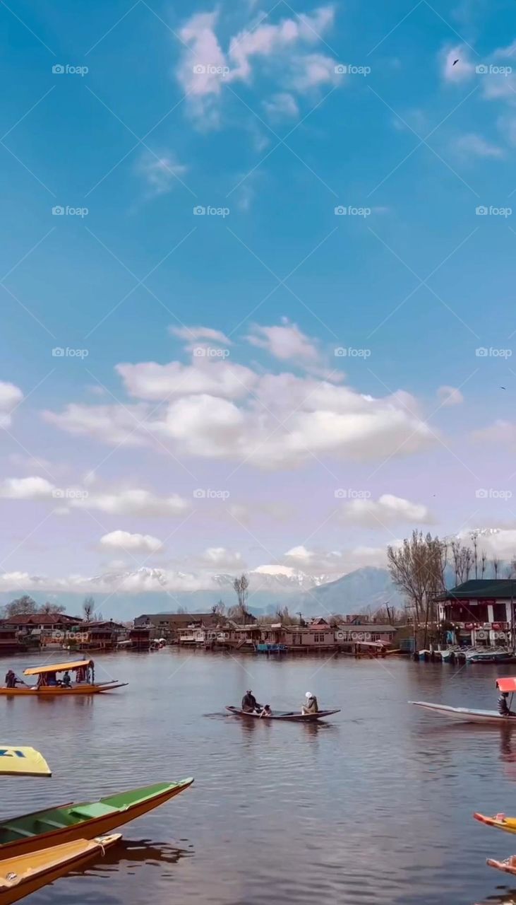 Dal lake