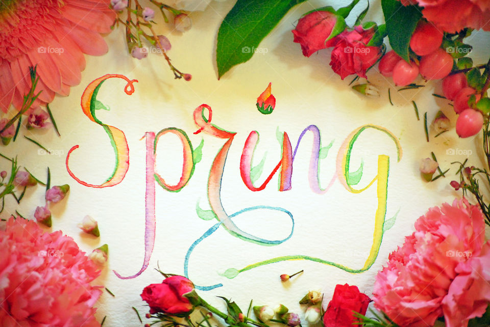 Spring, sign, flat lay, on white background, on wooden background, floral border, bloom, flowers, watercolor, lettering, bud, creative, typography, carnations, gerbera daisies