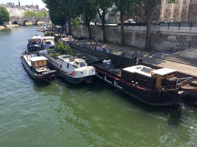 The River Seine