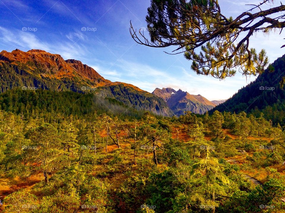 Sitka Alaska Landscape . August 2015