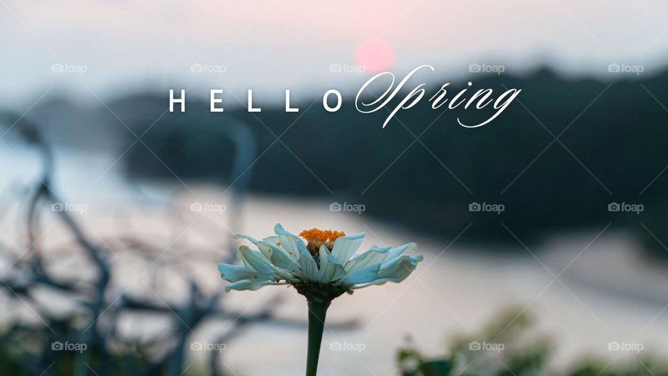 welcome spring. spring has come. please be nice and best wishes for everything in this season.