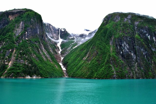 Natures Craddle. Sailing through Alaska and hunting for glaciers.