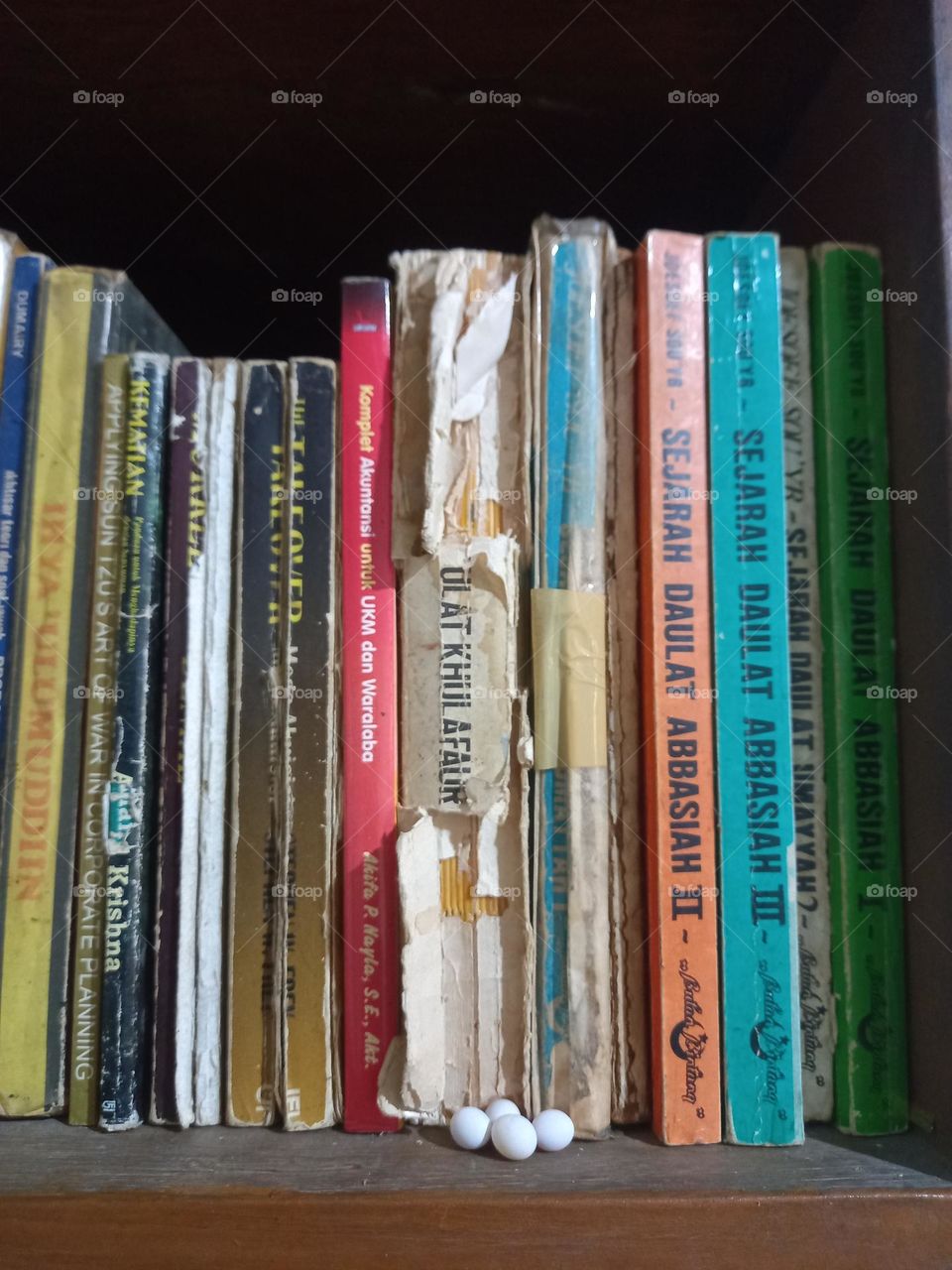 Old books and Lizard Eggs