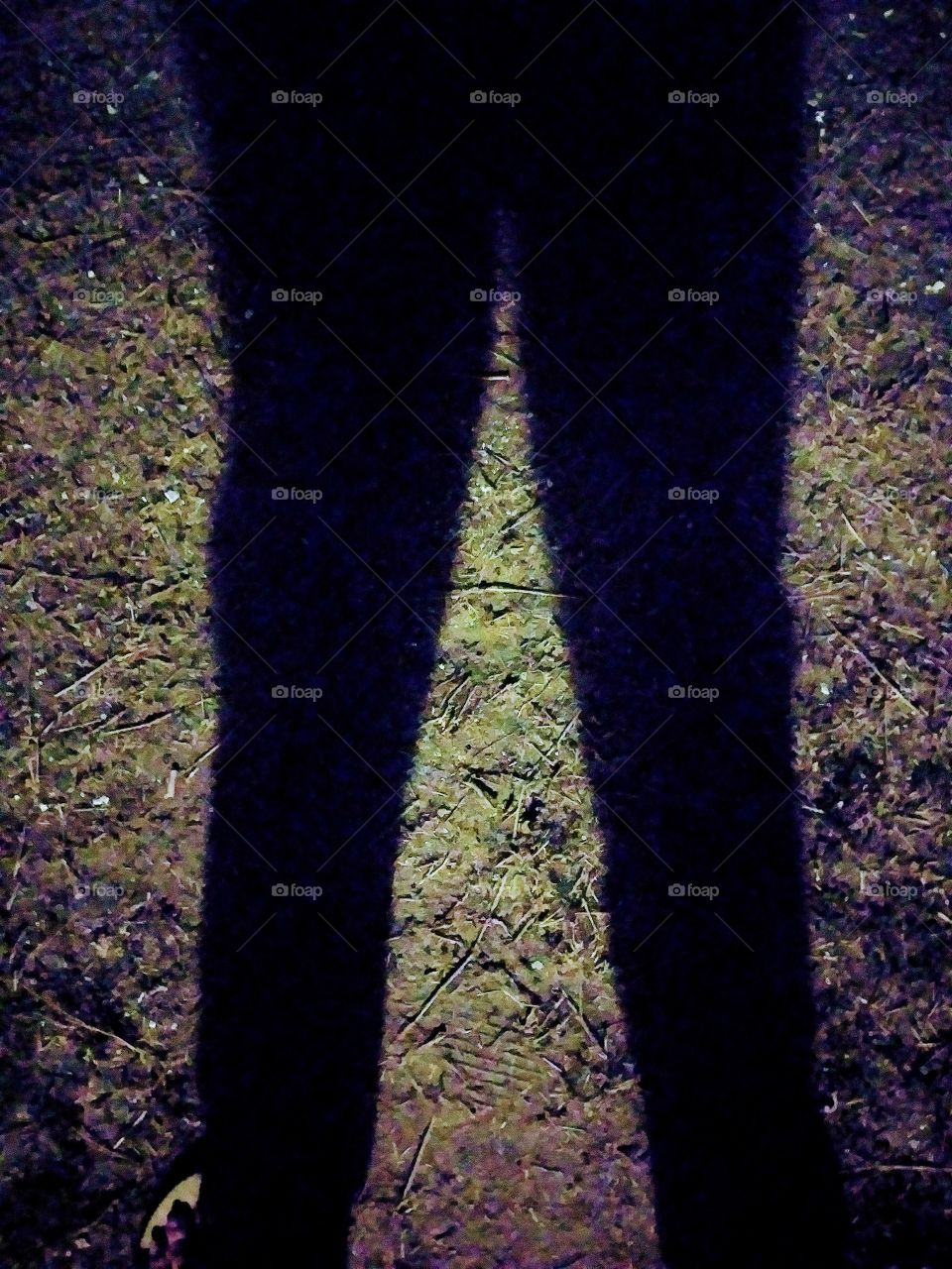 Moonlight Legs